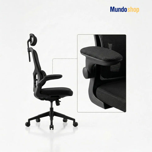 Silla De Escritorio Oficina Ergonómica Con Soporte Lumbar Negro