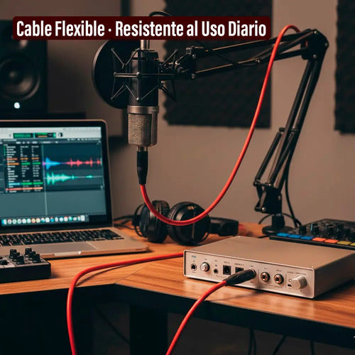Cable Para Micrófono 5 Metros Audio