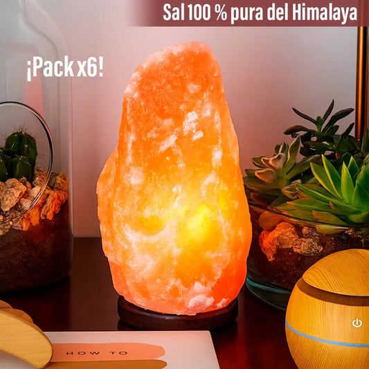 Pack 6 lampara sal del Himalaya piedra de 2 a 3 kg