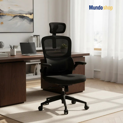 Silla De Escritorio Oficina Ergonómica Con Soporte Lumbar Negro